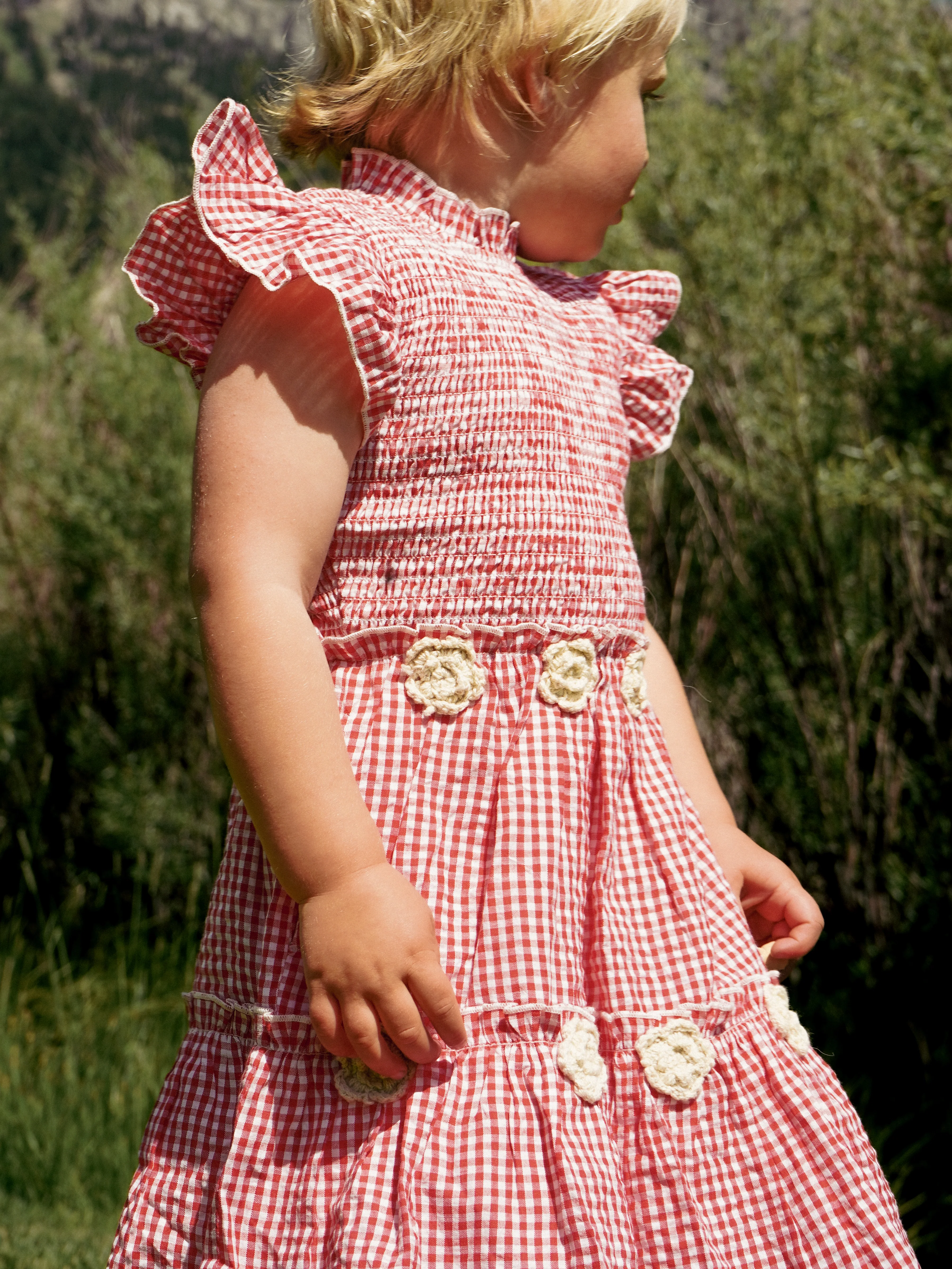 Little Lady Field Dress - Image 3