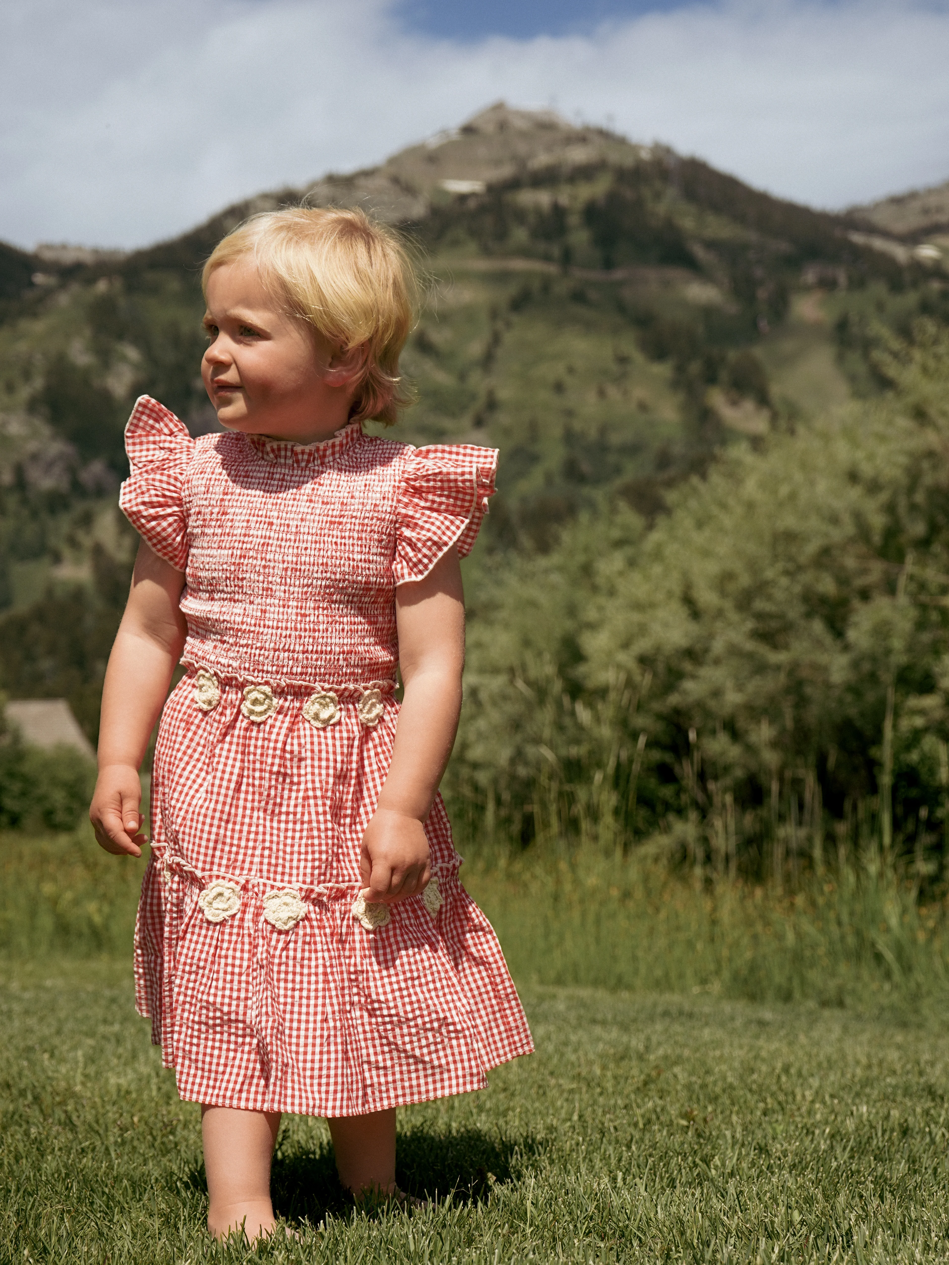 Little Lady Field Dress - Image 4