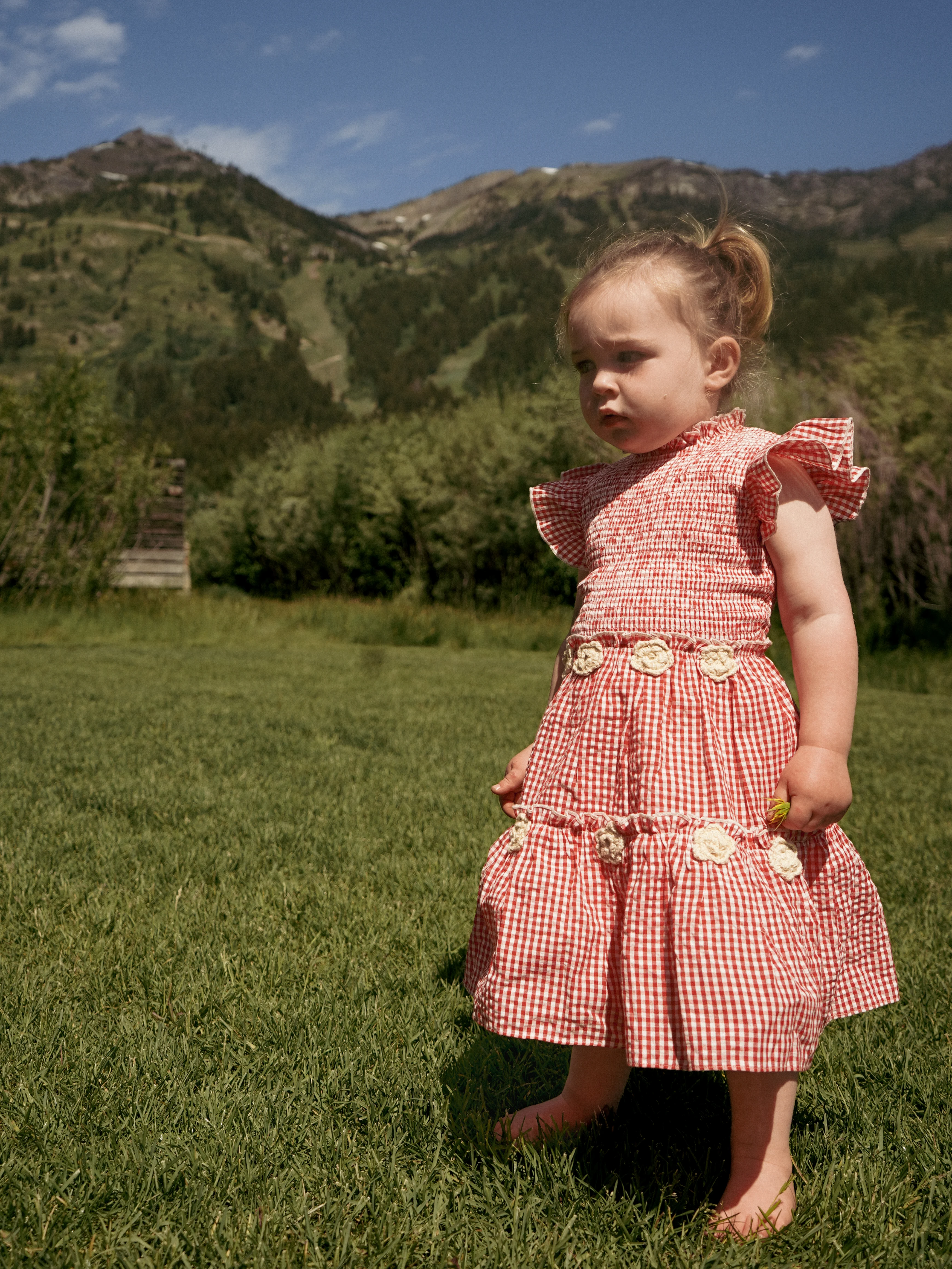 Little Lady Field Dress - Image 5