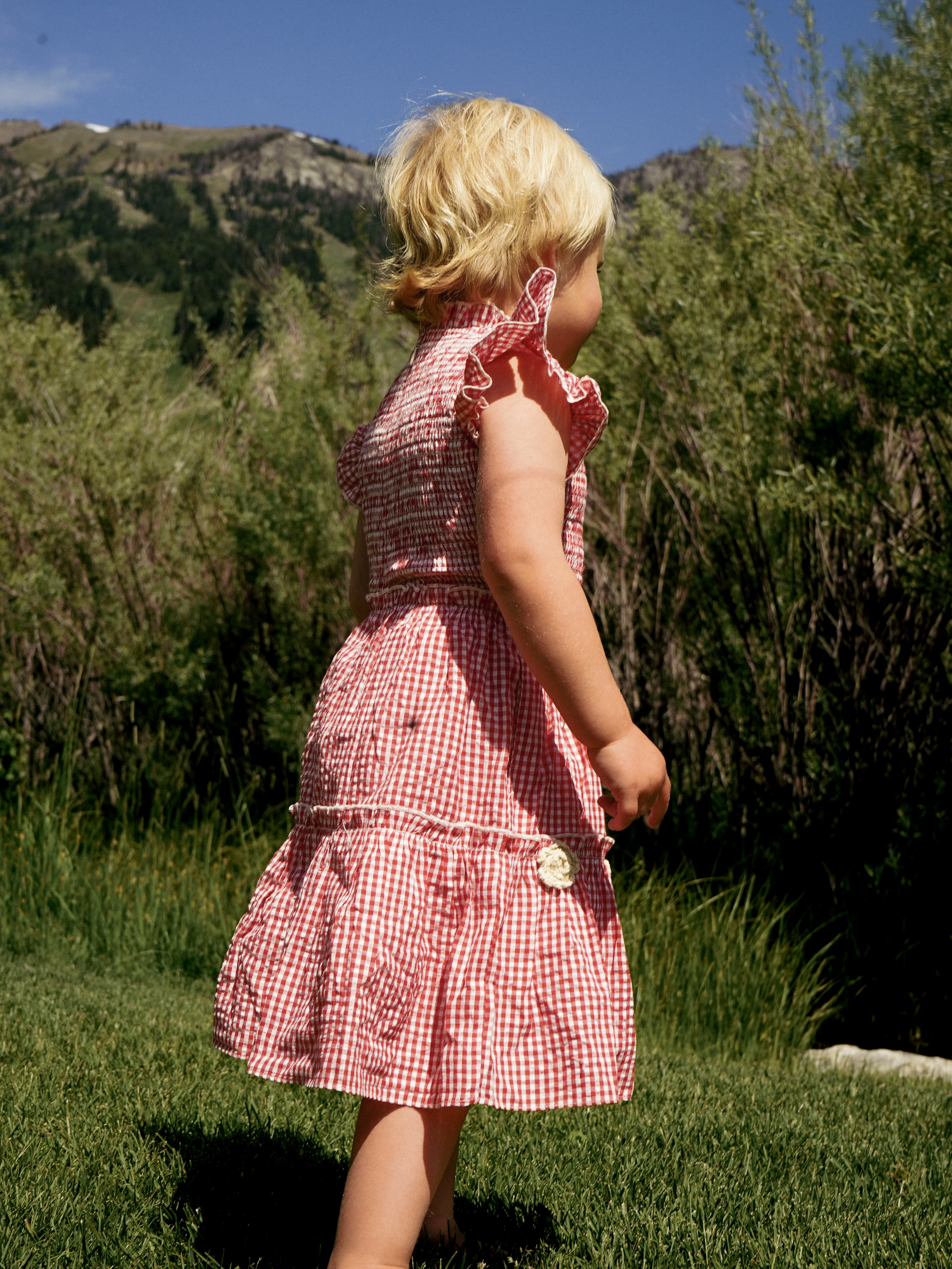 Little Lady Field Dress - Image 6